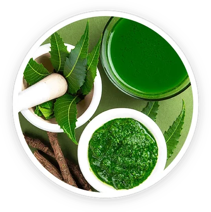 Neem leaves, paste and bark